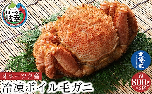 オホーツク産 北隆丸 冷凍ボイル 毛ガニ 約800g×2尾【 カニ かに 蟹 毛ガニ 毛蟹 冷凍 魚貝 魚介 海鮮 北海道 オホーツク 枝幸 】
