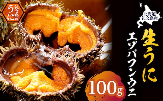北海道 礼文島産 採れたて バフンウニ 塩水パック 100g×1 生うに 生ウニ 塩水うに 魚貝類 雲丹 