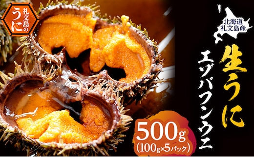 北海道 礼文島産 採れたて バフンウニ 塩水パック 100g×5 生うに 生ウニ 塩水うに 魚貝類 雲丹 蝦夷バフンウニ 500g 