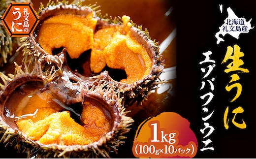 北海道 礼文島産 採れたて バフンウニ 塩水パック 100g×10 生うに 生ウニ 塩水うに 魚貝類 雲丹 1kg 