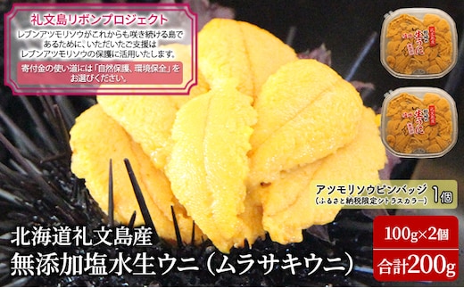 先行予約 【礼文島リボンプロジェクト】 北北海道 礼文島産 塩水ウニ （ キタムラサキウニ ）100g×2 生うに うに 雲丹 魚貝類 海の幸 海鮮 