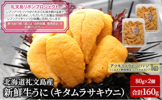 先行予約 【礼文島リボンプロジェクト】北北海道 礼文島産 新鮮生うに（ キタムラサキウニ ）80g×2個 ウニ 雲丹 魚貝類 海の幸 海鮮 