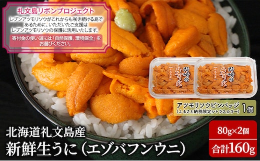 先行予約 【礼文島リボンプロジェクト】北海道 礼文島産 新鮮生うに（ エゾバフンウニ）80g×2個 ウニ 雲丹 魚貝類 海の幸 海鮮 