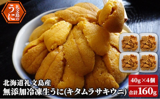北海道 礼文島産 冷凍生うに （ キタムラサキウニ ）40g×4個 ムラサキウニ ギフト 雲丹 うに 礼文