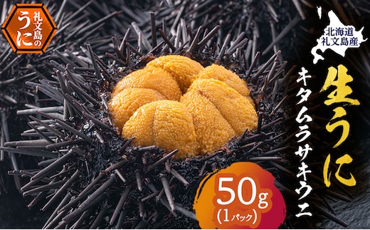 北海道 礼文島産 採れたて キタムラサキウニ 塩水パック 50g×1 生うに 生ウニ 塩水うに 魚貝類 雲丹