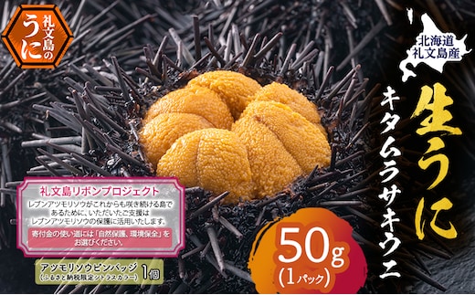 【礼文島リボンプロジェクト】北海道 礼文島産 採れたて キタムラサキウニ 塩水パック 50g×1 生うに 生ウニ 塩水うに 魚貝類 雲丹