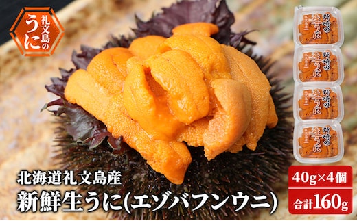 先行予約 北海道 礼文島産 新鮮生うに（ エゾバフンウニ）40g×4個 ウニ 雲丹 魚貝類 160g