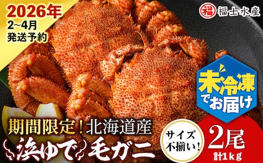 【2026年発送予約】チルドでお届け！ 浜茹で毛ガニ中サイズ２尾（不揃い合計約1kg） 〈福士水産〉 冷蔵 毛蟹 ボイル かにみそ