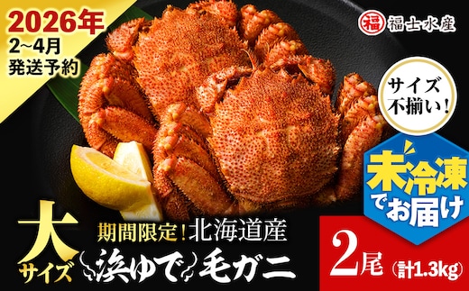 【2026年発送予約】チルドでお届け！ 浜茹で毛ガニ大サイズ２尾（不揃い合計約1.3kg） 〈福士水産〉