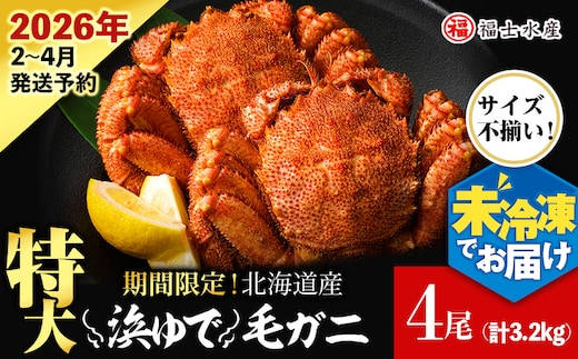 【2026年発送予約】チルドでお届け！ 浜茹で毛ガニ特大４尾（不揃い合計約3.2kg） 〈福士水産〉