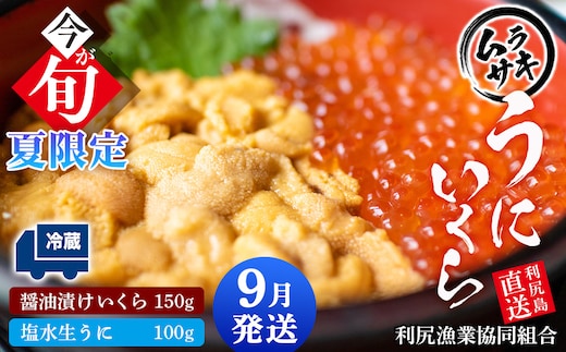 【2026年9月発送】キタムラサキウニ 100g＆いくら 150gセット ＜利尻漁業協同組合＞うに 雲丹 ミョウバン不使用 ウニ