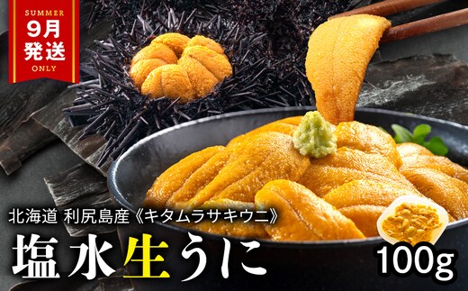 【2026年9月発送】キタムラサキウニ 100g (100g×1パック) ＜利尻漁業協同組合＞うに 雲丹 ミョウバン不使用 ウニ