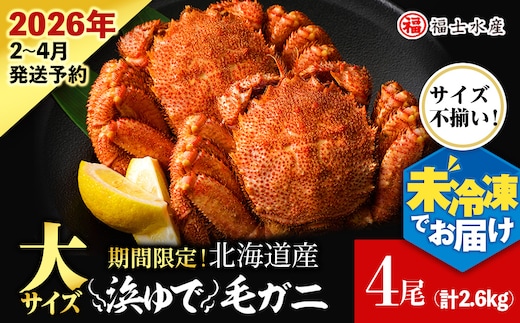 【2026年発送予約】チルドでお届け！ 浜茹で毛ガニ大サイズ４尾（不揃い合計約2.6kg） 〈福士水産〉