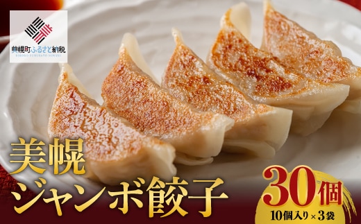 美幌ジャンボ餃子 30個(10個入り×3袋)【配送不可地域：離島】