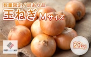 【令和7年産 先行受付】「数量限定訳あり品」玉ねぎMサイズ・20kg（2026年2月より順次発送） BHRG063