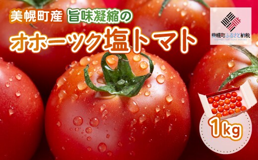 【先行予約】美幌町産・旨味凝縮のオホーツク塩トマト 約1kg（2026年7月下旬より順次発送） BHRG006
