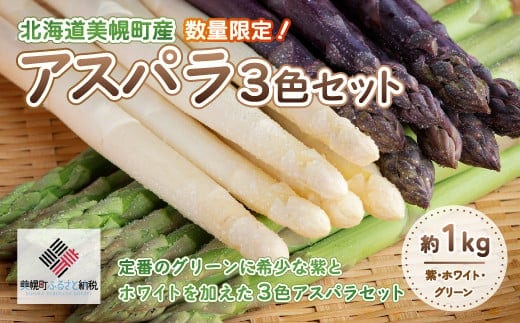 [先行受付]数量限定 定番のグリーンに希少な紫とホワイトを加えた3色アスパラセット 計約1kg 【配送不可地域：離島】 BHRG065