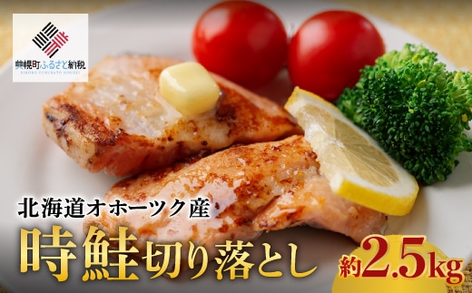 【先行受付】北海道オホーツク産 時鮭切り落とし 約2.5kg（2026年3月上旬より順次発送） BHRI027