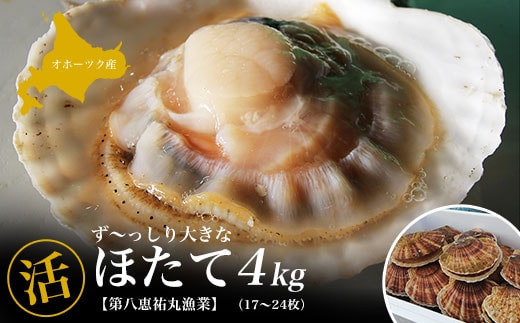 オホーツク産『活』 ほたて 4kg（17～24枚） SRMN015