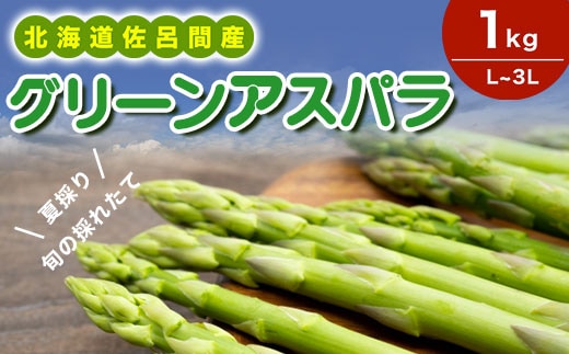 【夏採り】 グリーンアスパラ 1kg（L～3L）旬の採れたて 北海道 佐呂間産（2027年7月出荷開始先行予約） SRMM016