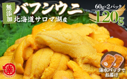 【先行予約】サロマ湖産 無添加 バフンウニ 120g（60g×2）海水パック（2026年4月以降順次発送予定） SRMA021