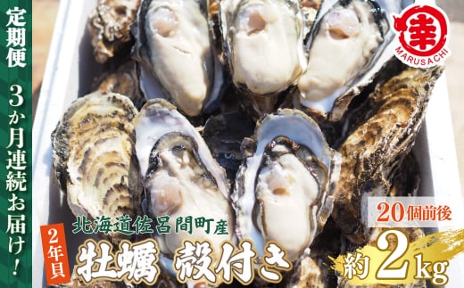 【先行予約】【10月中旬から順次発送】カキ 殻付き 2年貝 約2kg（20個前後） 佐呂間産 ［3回定期便］SRMA039