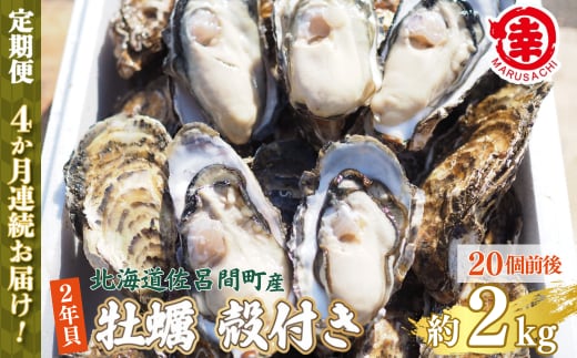 【先行予約】【10月中旬から順次発送】カキ 殻付き 2年貝 約2kg（20個前後） 佐呂間産 ［4回定期便］SRMA040