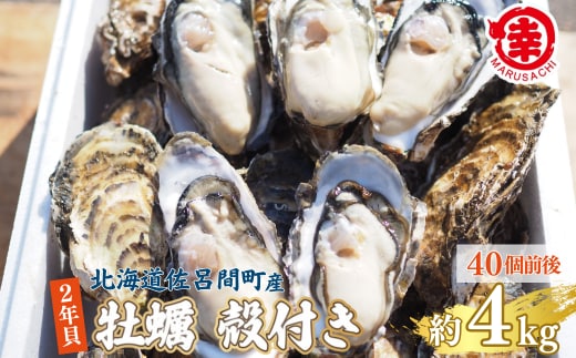 【先行予約】【10月中旬から順次発送】カキ 殻付き 2年貝 約4kg（40個前後） 佐呂間産 SRMA041