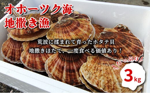 オホーツク産 『活』 ほたて 3kg（15～21枚）【第八恵祐丸漁業】サロマ