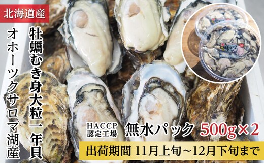 カキ むき身 大粒 1年貝 1kg（500g無水パック×2） 佐呂間産 【丸サチ