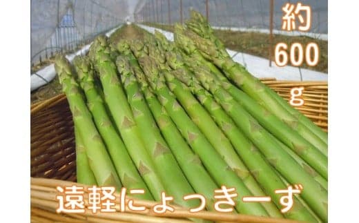 2026年 春アスパラ600g ( ふるさと納税 アスパラガス グリーンアスパラ 野菜 健康食材 天ぷら 炒め物 パスタ サラダ 大容量 北海道 遠軽町 えんゆう農業協同組合 ) en01-00001