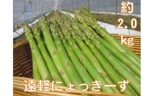 2026年春アスパラ2kg ( ふるさと納税 アスパラガス グリーンアスパラ 野菜 健康食材 天ぷら 炒め物 パスタ サラダ 大容量 北海道 遠軽町 えんゆう農業協同組合 ) en01-00003