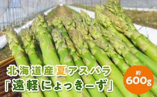 2026年夏アスパラ600g ( ふるさと納税 アスパラガス グリーンアスパラ 野菜 健康食材 天ぷら 炒め物 パスタ サラダ 大容量 北海道 遠軽町 えんゆう農業協同組合 ) en01-00005