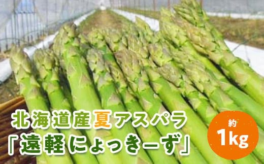 2026年夏アスパラ 1kg ( ふるさと納税 アスパラガス グリーンアスパラ 野菜 健康食材 天ぷら 炒め物 パスタ サラダ 大容量 北海道 遠軽町 えんゆう農業協同組合 ) en01-00006