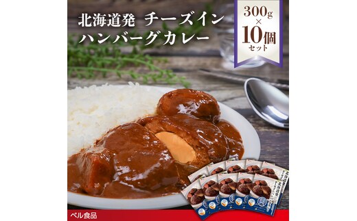 北海道発チーズインハンバーグカレー 300g 10個セットen01-00236