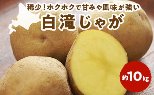 2026白滝じゃが 約10kg en01-00044