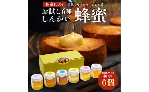国産天然 しんかい蜂蜜おためしセット (40g×6本) ( ふるさと納税 はちみつ アカシア蜂蜜 クローバー蜂蜜 トチ蜂蜜 菩提樹(シナ)蜂蜜 りんご蜂蜜 森の蜜 国産 ハチミツ セット 北海道 遠軽町 株式会社 新海養蜂場 ) en01-00158