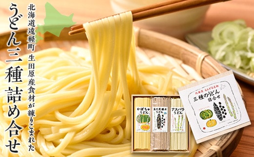 北海道えんがる名物 三種のうどん詰合せ (200g×3個) ( ふるさと納税 アスパラうどん かぼちゃうどん 豆の黒曜石うどん 人気 名物 うどん 北海道 遠軽町 株式会社 生田原振興公社 ) en01-00092