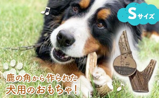 シカのおとしもの キミのたからもの（Ｓサイズ） ( ふるさと納税 犬のおもちゃ ペット用品 エゾ鹿 ハンドメイド 100％自然由来 手作り 北海道 遠軽町 アトリエたねまき ) en01-00163