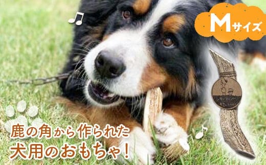 シカのおとしもの キミのたからもの（Mサイズ） ( ふるさと納税 犬のおもちゃ ペット用品 エゾ鹿 ハンドメイド 100％自然由来 手作り 北海道 遠軽町 アトリエたねまき ) en01-00164