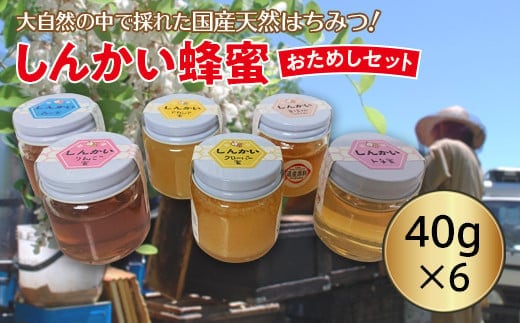 国産天然 しんかい蜂蜜おためしセット (40g×6本) ( ふるさと納税 はちみつ アカシア蜂蜜 クローバー蜂蜜 トチ蜂蜜 菩提樹(シナ)蜂蜜 りんご蜂蜜 森の蜜 国産 ハチミツ セット 北海道 遠軽町 株式会社 新海養蜂場 ) en01-00158