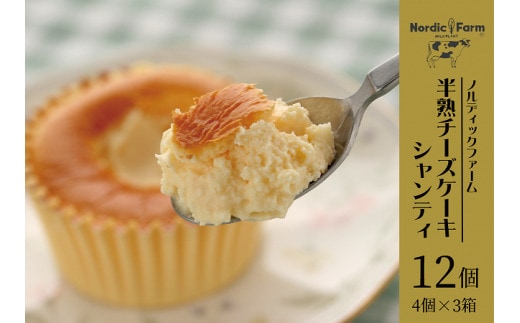 濃厚トロリとろける 半熟チーズケーキ・シャンティ〔4個入り×3箱〕 ( ふるさと納税 チーズケーキ スイーツ デザート 北海道産 濃厚クリーム ふわとろ食感 北海道 遠軽町 ノルディックファーム ) en01-00084
