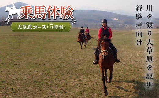 乗馬体験＜大草原コース＞ ( ふるさと納税 乗馬体験 チケット 乗馬 自然 馬 騎乗 レジャー 北海道 遠軽町 株式会社 まきば ) en01-00062