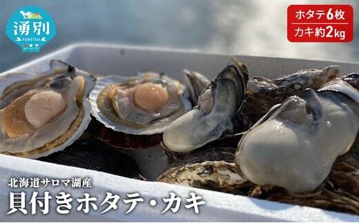先行予約 北海道サロマ湖産 貝付きホタテ6枚・カキ約2kg 魚貝類 帆立 ほたて 魚介類 