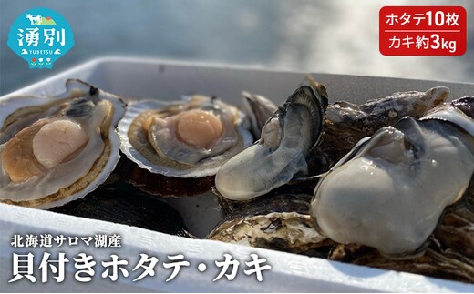 【国内消費拡大求む】先行予約 北海道サロマ湖産 貝付きホタテ10枚・カキ約3kg 魚貝類 生牡蠣 かき 牡蠣 帆立 ほたて 