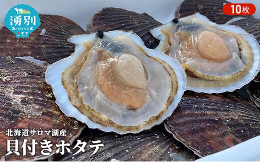 【国内消費拡大求む】先行予約 北海道 サロマ湖産 貝付き ホタテ 10枚 帆立 ほたて 刺身 海鮮 魚介 国産 殻付き 冷蔵 オホーツク 魚貝類 貝付きホタテ 魚介類