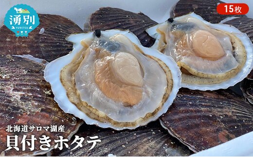 【国内消費拡大求む】先行予約 北海道 サロマ湖産 貝付き ホタテ 15枚 帆立 ほたて 刺身 海鮮 魚介 国産 殻付き 冷蔵 オホーツク 魚貝類 貝付きホタテ 魚介類