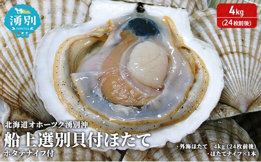 北海道 オホーツク 湧別沖 船上 選別 貝付 ほたて 4kg（24枚前後）ホタテナイフ付 帆立 刺身 海鮮 魚介 国産 殻付き 冷蔵 サロマ湖 魚貝類 砂抜き お刺身 生食 
