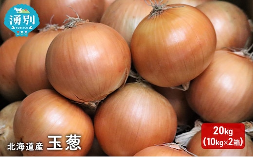 先行受付 北海道産 玉葱 20kg （10kg×2箱） たまねぎ 玉ねぎ 国産 産地直送 オホーツク 野菜 