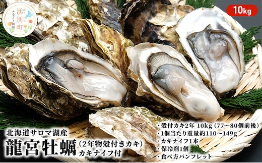 国内消費拡大求む】北海道サロマ湖産 龍宮牡蠣10kg（2年物殻付きカキ